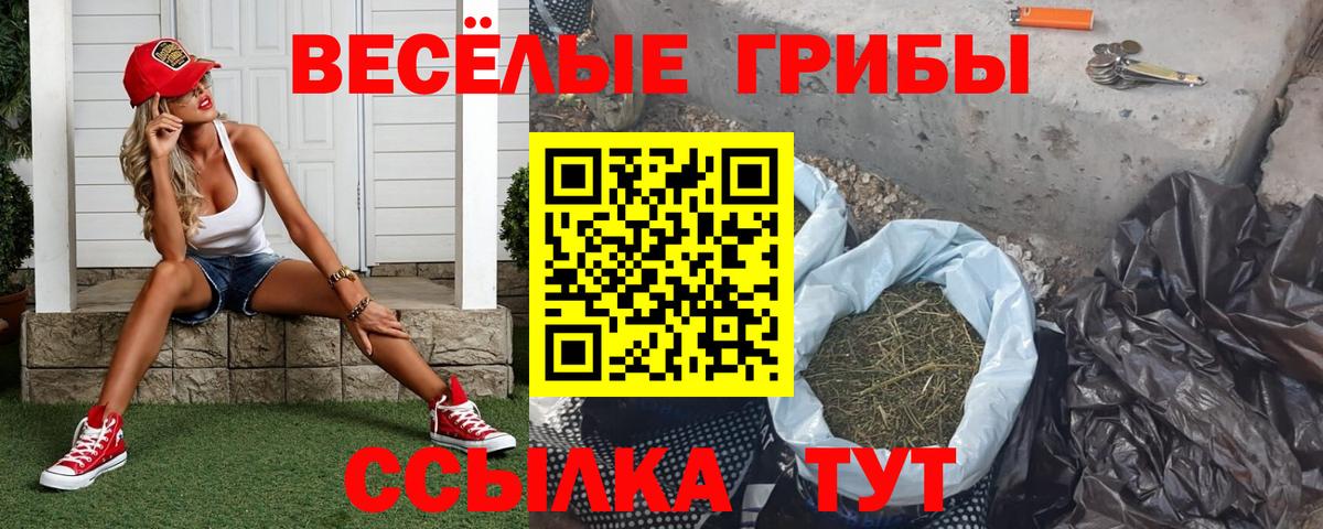 Галлюциногенные грибы мицелий Выкса